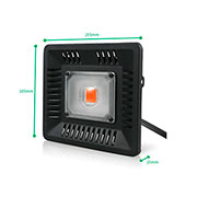 picture (image) of YB-HTEI-s.jpg